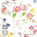 ʥ66.3g˲֤Ť Ⱦ 750528̵/Բġۡ500/Ȣ