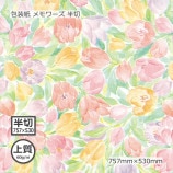 ʾ60g˥ Ⱦ 757530̵/Բġۡ1000/Ȣ