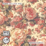 ʾ64g˥˥ Ⱦ 750528̵/Բġۡ500/Ȣ