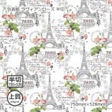 ʾ64g˥ Ⱦ 750528̵/Բġۡ500/Ȣ