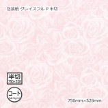 ʥ66.3g˥쥤ե P Ⱦ 750528̵/Բġۡ500/Ȣ