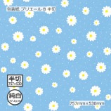 ʽ47.2g˥ץꥨ B Ⱦ 757530̵/Բġۡ1000/Ȣ