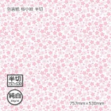 ������ʽ���35g�˺����� Ⱦ�� 757��530��1000��/Ȣ��