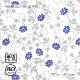 ������ʽ���35g�ˤʤ���� �� Ⱦ�� 757��530��1000��/Ȣ��