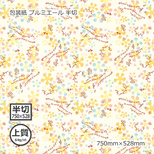 ������ʾ��64g�˥ץ�ߥ����� Ⱦ�� 750��528������̵��/����Բġۡ�500��/Ȣ��