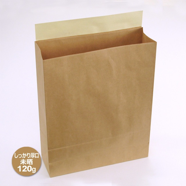 L（320×110×400＋50）クラフト宅配袋【送料無料/代引不可】（250枚/箱