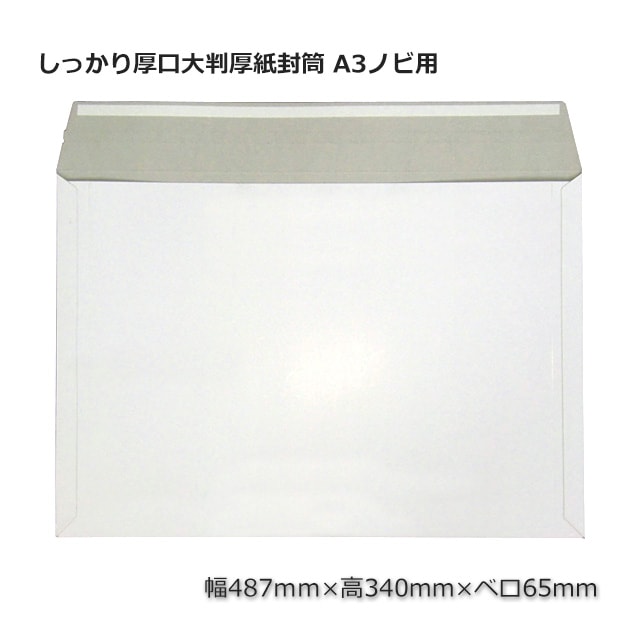 3箱以上特価】しっかり厚口大判厚紙封筒 A3ノビ用【送料無料/代引不可