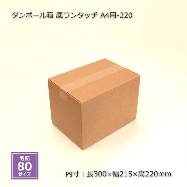 A4-220310220220󥿥å ܡȢ20/Ȣ