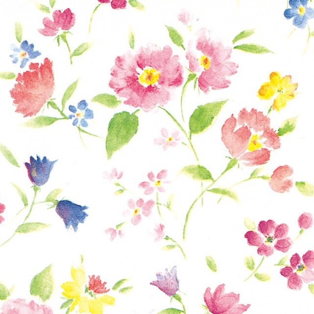 [1«����]������ʥ�����66.3g�˲֤Ť��� Ⱦ�� 750��528��100��/«��