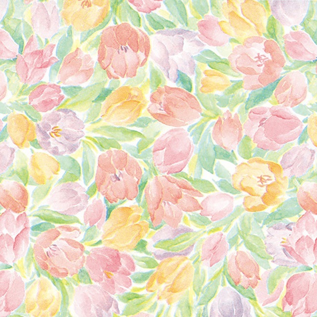 [1«����]������ʾ��60g�˥���� Ⱦ�� 757��530��100��/«��