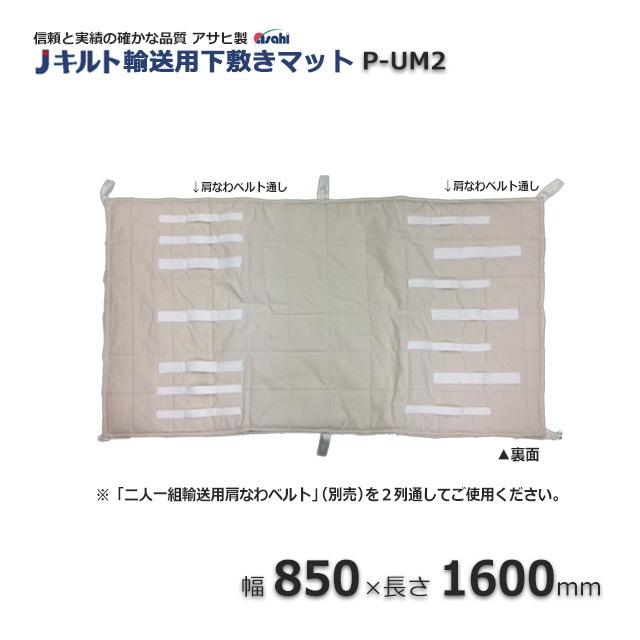��1�����ò���P-UM2��850��1600��͢���Ѳ��ߤ��ޥåȡ�����̵��/����Բġۡ�3��/�����