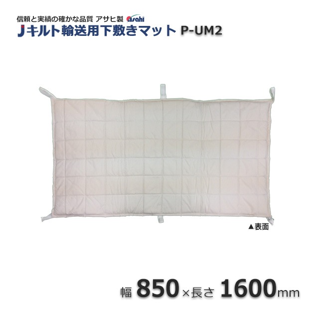 ��1�����ò���P-UM2��850��1600��͢���Ѳ��ߤ��ޥåȡ�����̵��/����Բġۡ�3��/�����