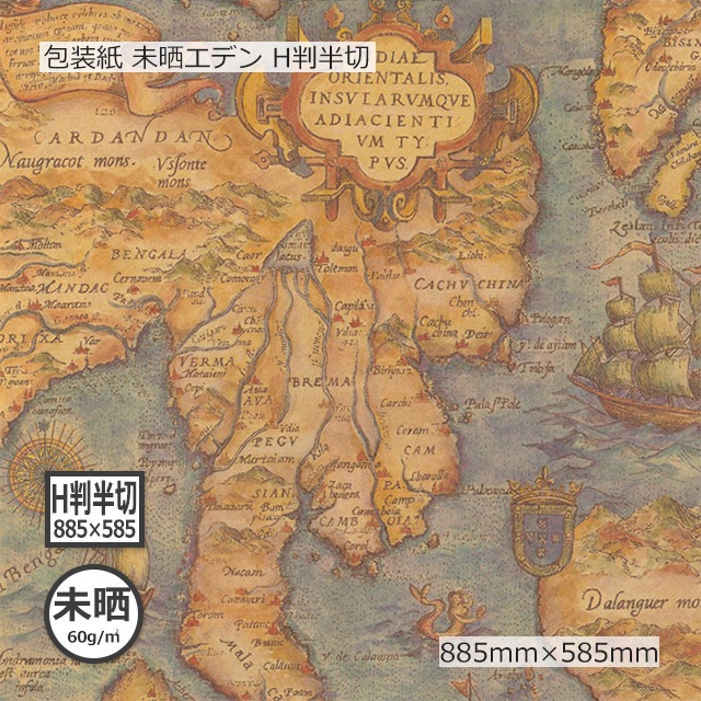 �������̤��60g�˥��ǥ� HȽȾ�� 885��585������̵��/����Բġۡ�500��/Ȣ��