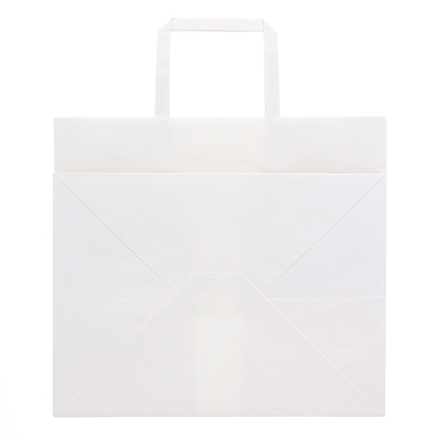 300-1（300×220×270）白無地/晒 手提げ紙袋 NフラットCB【送料無料/代