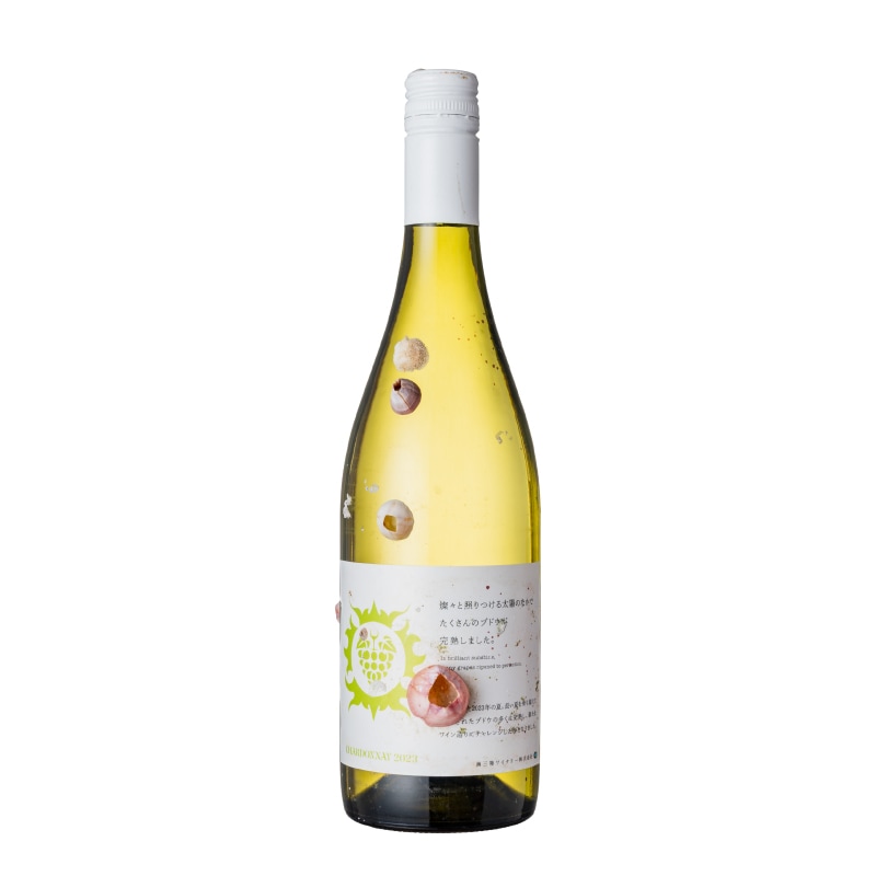 志津川湾海中熟成ワイン CHARDONNAY 2023（白・辛口）
