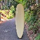 FANTASTIC ACID / 7'4" ROUNDED HULL