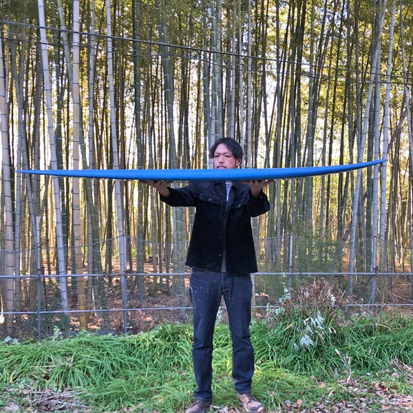 PAVEL / 6'10" GP FISH