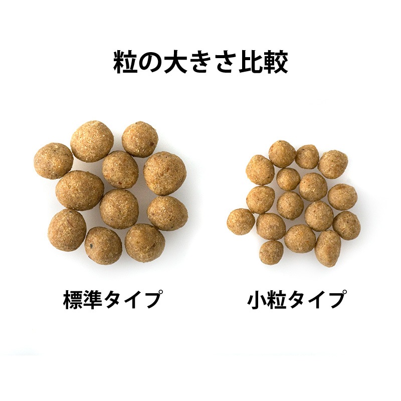 ΥȤϤ衪Dog륹ơ <ӡե١