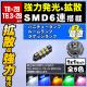 LED T8��28mm SMD 6Ϣ �Х�֡��Х˥ƥ������� �롼����� �Х��������� �饲�å����� �ɥ��������ˡ�1�奻�åȡ��ۥ磻�� �֥롼 ����� ���꡼�� �ԥ󥯤��������T6.3��28mm�ˤ��б� �� �� �� �� �ߥ顼�ۡڼ�ư���ѡۡ�1�����ݾ��աۡڥ���ȥ��