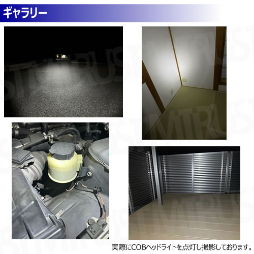 COB & XPE LED إåɥ饤ȡ6ѥȯ ⡼ 󥵡 IPX4 ɿ Ķ USB  إåɥ 磻ɾȼ ݥåȾȼ ȥɥ  л     祮 λ    ɺ  ۡڥȥ