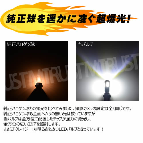 ӡȥ   ١ ǥ R-Line 2.0R-Line  б T16 LGå 15Ϣ 15w Хå 쥤Х֡ 3030å 뤤 ƥ륹 ߥҡȥ SMD The Beetle  ӡȥ ӡȥ ӡȥ VW ݾ ȥ