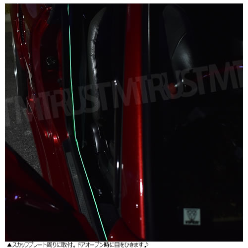 ����դ� EL �磻�䡼 ���塼�� �ۥ磻�� �֥롼 �饤�ȥ֥롼 �������� ���꡼�� �饤�ȥ��꡼�� ��å� �ԥ� �ѡ��ץ뤫������� 1�ܲ��� ���� �ζ�̤���� ��������� ���� ��ñ �ե����С� �ơ��� ��������ѥͥ� �����������åȤ����Ÿ����Ф���ǽ ���ݾ��աۡڥ���