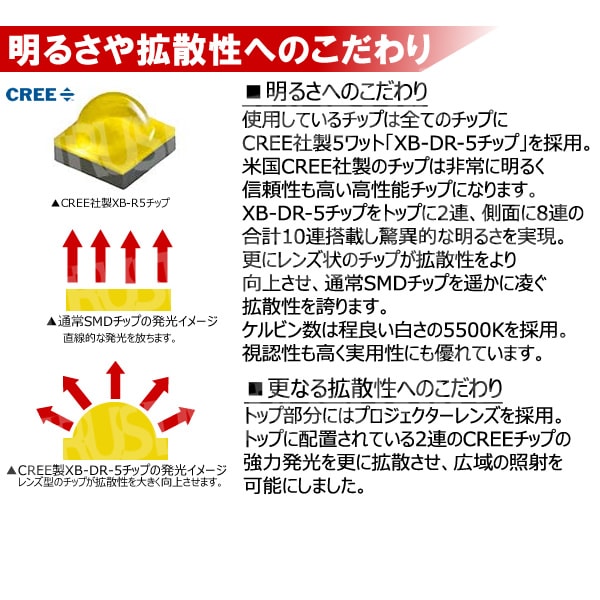 T10 T16 50w LED CREE 5wå 10Ϣ 顼ϥۥ磻 5500K Ķ⵱  ץ Хåפݥפ 1ʡڥ꡼ XB-DR-5å ߥҡȥ ǧ ȴ  ϥѥ 12V 24Vۡ1ݾաۡڥȥۡڥȥ