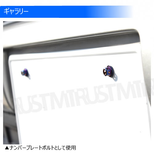 ���ƥ�쥹�� �����󥫥顼�ܥ�� M6 10mm �ԥå� 1.0mm 1�Ĳ��� ��M6��10mm �ʥ�С��ץ졼�� �ʥ�С� �ʥ�С��ܥ�� ���󥸥�롼�� ���� ���� ���ݥ��� USDM JDM �ɥ쥹���å� �������� 1mm �ͥ��������� ������ �ܥ�ȥͥ� ���Ӥʤ� �� ����ȥ�