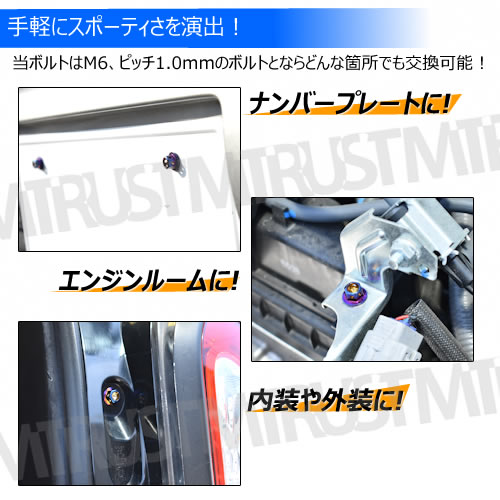 ���ƥ�쥹�� �����󥫥顼�ܥ�� M6 10mm �ԥå� 1.0mm 1�Ĳ��� ��M6��10mm �ʥ�С��ץ졼�� �ʥ�С� �ʥ�С��ܥ�� ���󥸥�롼�� ���� ���� ���ݥ��� USDM JDM �ɥ쥹���å� �������� 1mm �ͥ��������� ������ �ܥ�ȥͥ� ���Ӥʤ� �� ����ȥ�