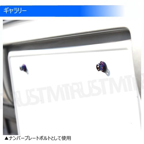 ���ƥ�쥹�� �����󥫥顼�ܥ�� M6 12mm �ԥå� 1.0mm 1�Ĳ��� ��M6��12mm �ʥ�С��ץ졼�� �ʥ�С� �ʥ�С��ܥ�� ���󥸥�롼�� ���� ���� ���ݥ��� USDM JDM �ɥ쥹���å� �������� 1mm �ͥ��������� ������ �ܥ�ȥͥ� ���Ӥʤ� �� ����ȥ�