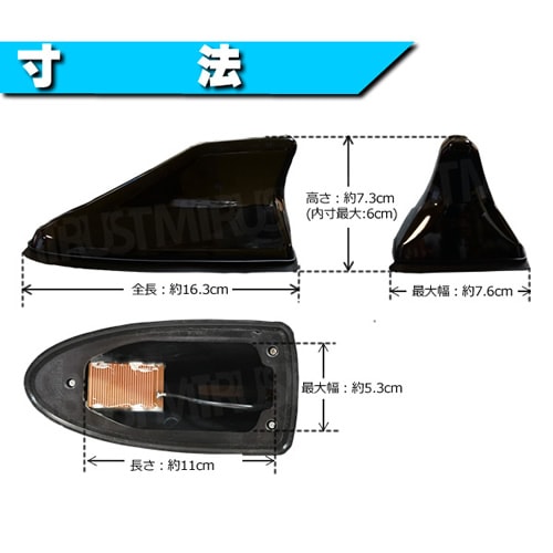 ���㡼������ƥ� ���� AM/FM �ݡ��륢��ƥʼ��б������� ���ߡ�����ƥʤȤ��Ƥ���Ѳ�ǽ�ڥ��顼:�ĥ䤢��֥�å� �ĥ䤢��ۥ磻�ȡۡ����� ���㡼���ե��󥢥�ƥ� �롼�ե���ƥ� �桼������ƥ� ��¢ �ȥ西 ���� �� ���