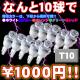 ʤ101000ߡĶкŪդT10åLEDȯϥۥ磻ȡ֥롼󥸡꡼󡦥åɤǽ!