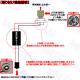���� LED S25 ���󥰥� (BAU15S)�ԥ�Ѱ㤤 �б� �����å��դ� ����¢ �������å� 6���������󥫡��Υϥ��ե��ɻߤˡ������󥫡���졼 2�ܥ��åȡڥ���ȥ��