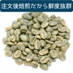 ʸȴۡϥ磻 No.1