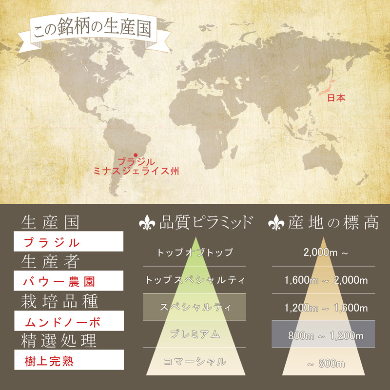 �������󡡥֥饸�롡�Х������ࡡ�ȥߥ��ե������ɥ饤����ĥ꡼