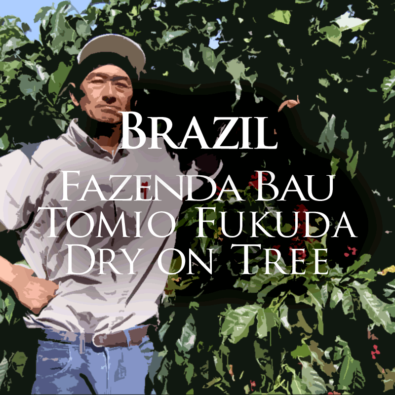 注文後焙煎だから鮮度抜群】 ブラジル バウー農園 トミオフクダ