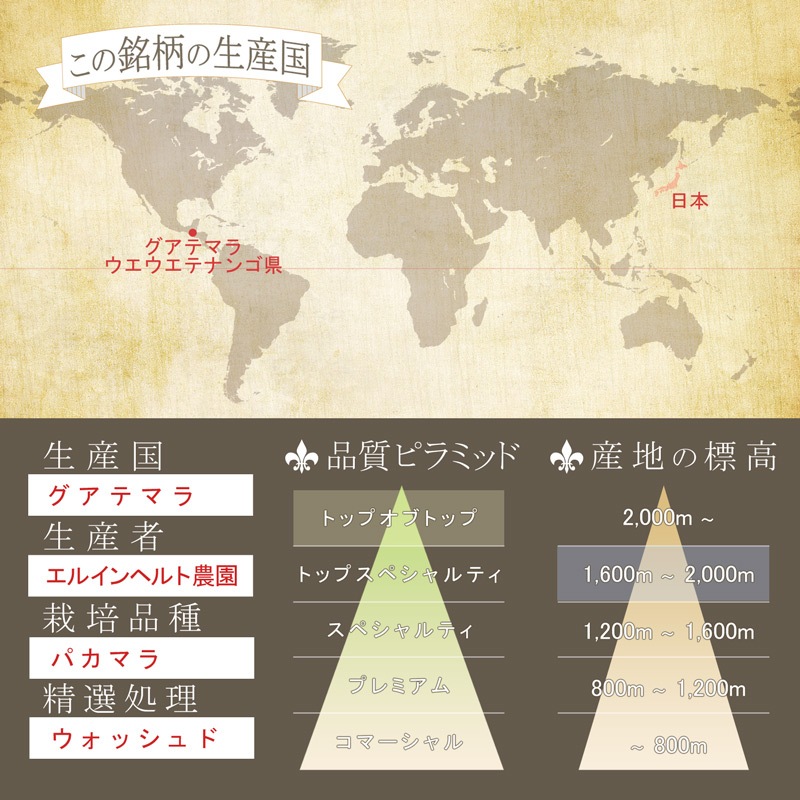 󡡥ƥޥ顡륤إࡡѥޥ