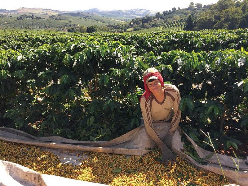 ����ʸ����������������ȴ���ۡ��֥饸�롡���å����֡����ࡡ�������硡���ƥ����ȥ��֥ϡ��٥���