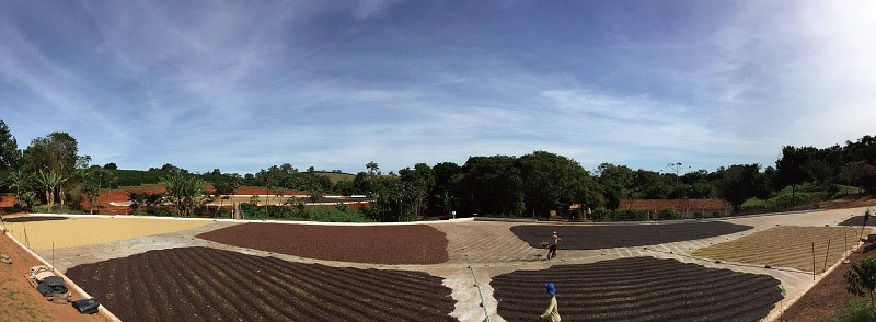 �֥饸�롡���å����֡����ࡡ�ƥ����ȥ��֥ϡ��٥���