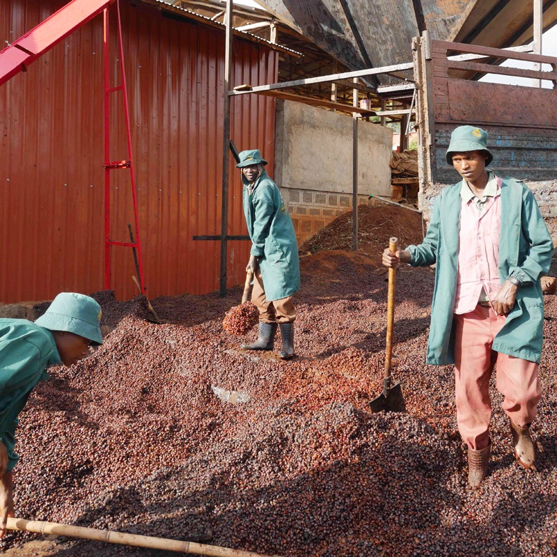 �������ԥ���������������ɥ饤�����᡼��