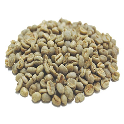 ʸȴ֥ۡ饸롡ѥ饤ࡡڸͭꡡ