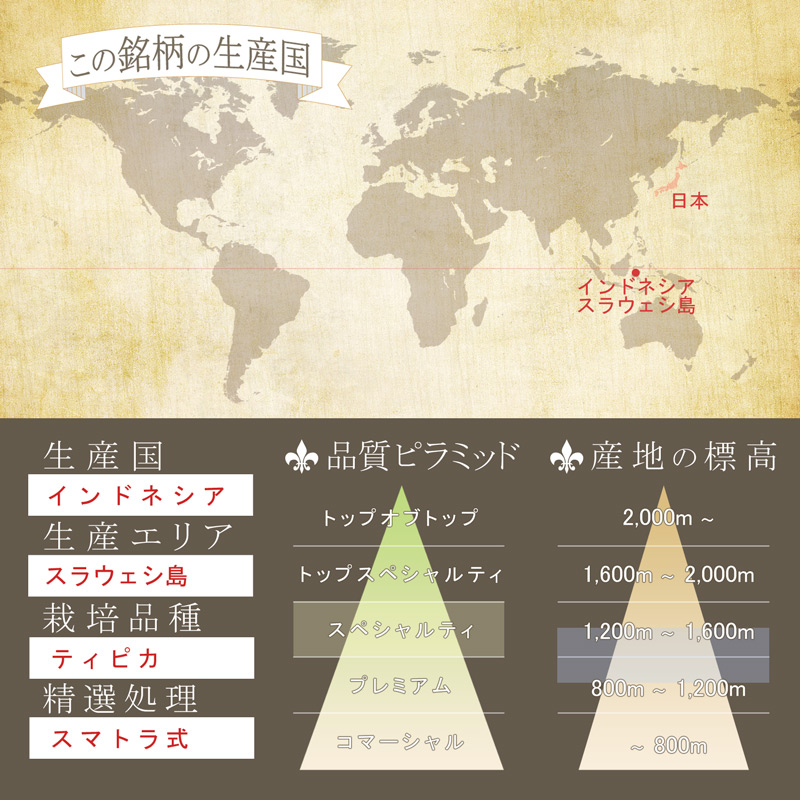 �������󡡥���ɥͥ��������ꥪ���ȡ��ȥ饸��