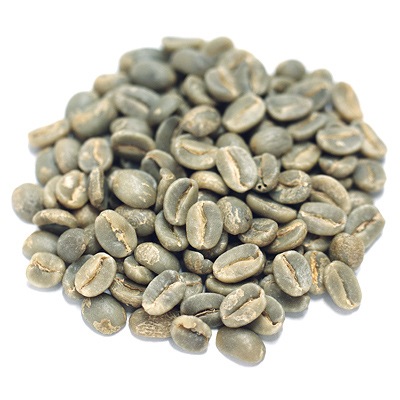 ʸȴ֥ۡ롼ޥƥ No.1