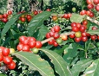 ʸȴ֥ۡ롼ޥƥ No.1