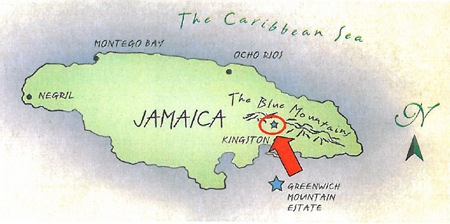 ʸȴ֥ۡ롼ޥƥ No.1