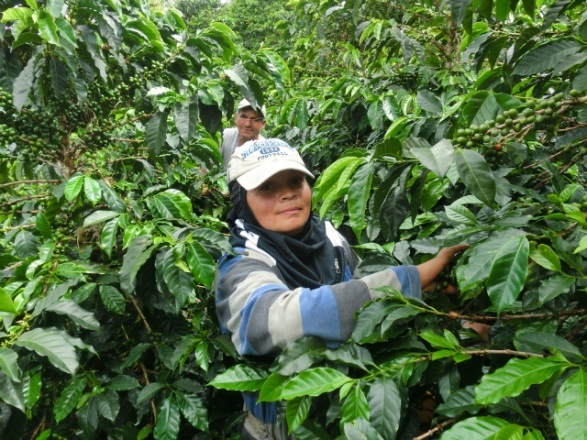 ����ʸ����������������ȴ���ۡ�������ӥ����ԥ��꡼�ȡ����ץ�⡡�����ڥ����롡��������