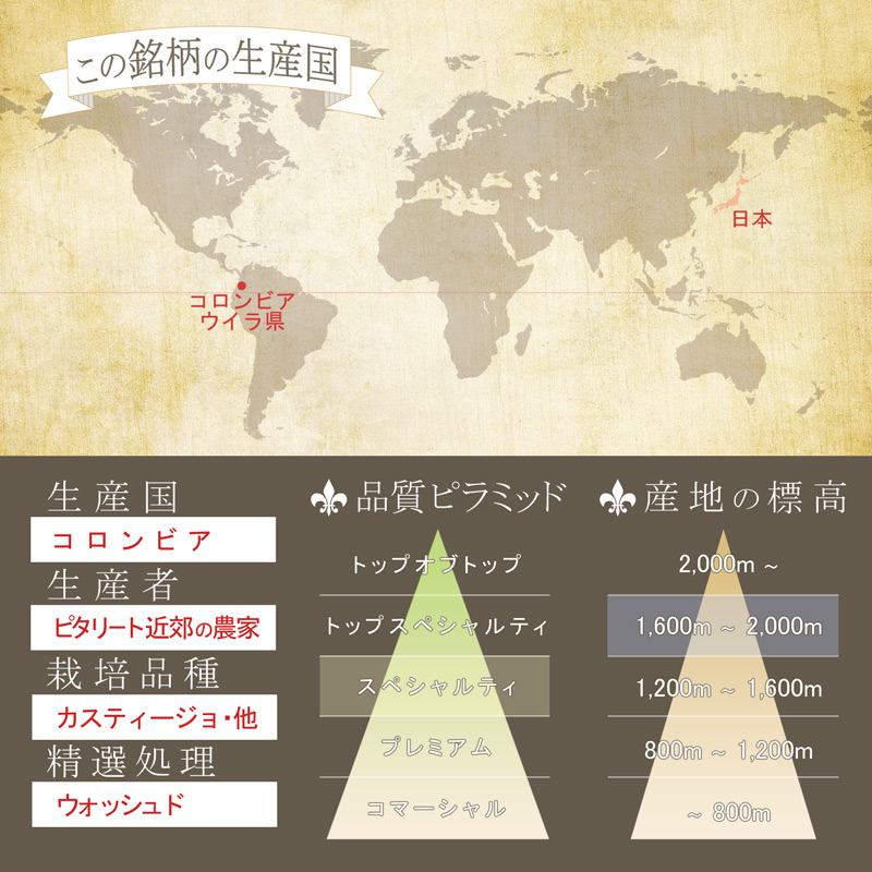 ������ӥ����ԥ��꡼�ȡ����ץ�⡡��������