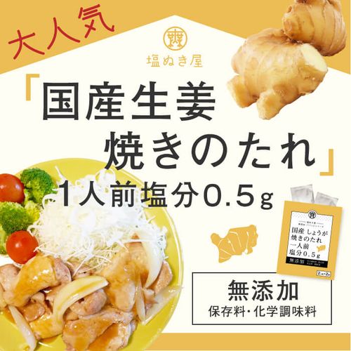 塩ぬき屋 減塩 国産しょうが焼きのたれ 2袋セット (無添加)|塩ぬき屋