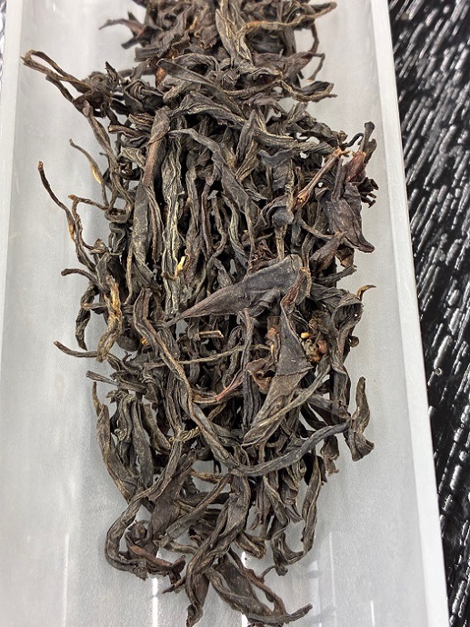 �����(�����Ȥ�)¼ Ϸ�������20���