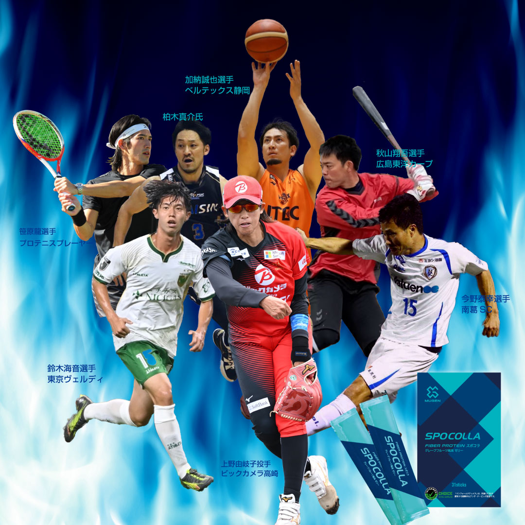 ������ۥ��ݥ���10%OFF ���ץ쥼���(10�ܥ��å�)